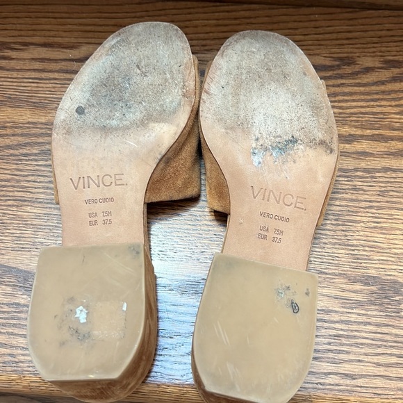 Vince Rachelle slides - Picture 7 of 8